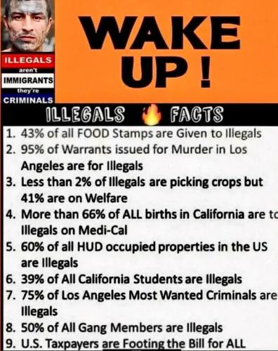 ILLEGAL ALIEN COST WAKE UP