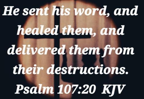 b09600d0-f142-428c-baef-264e267b9ef2