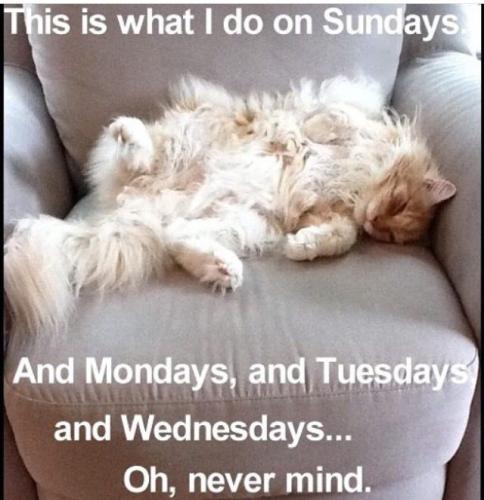 7b283254f8452fca5e45c8145e491655