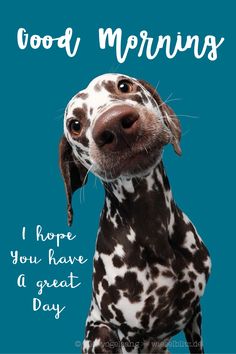 8092f9a104e293efd4bc7f58b77a30cd