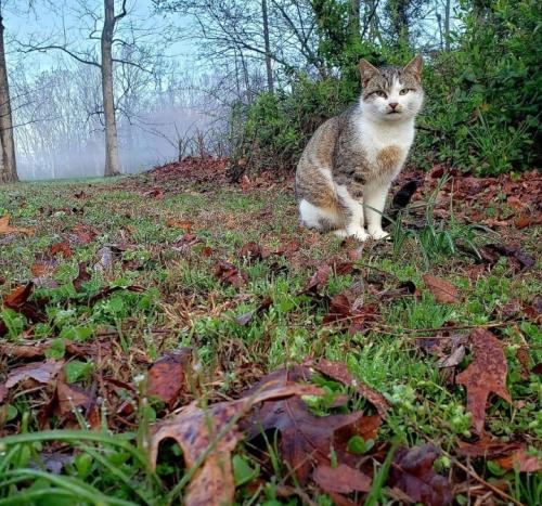 Screenshot_20251022_063805_Gallery