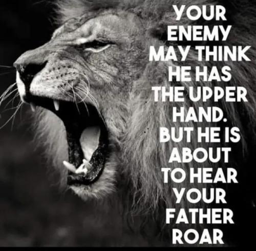 IMG_20251012_152134_646