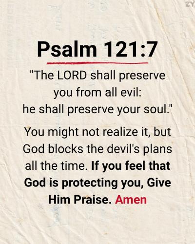 547702032_122306746526018941_5926038556684529595_n