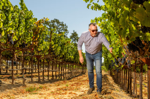 62bfb91a05c8bc21c69caa72cde0bd8f9f909905