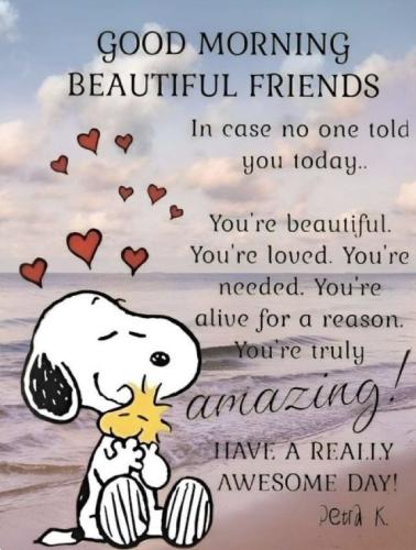 b9b0b197e0ccc23b7e01c946bdc7c102