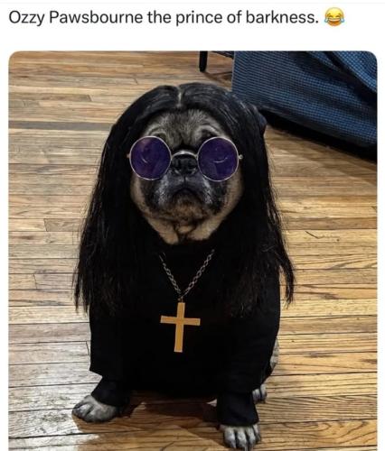 Screenshot_20251026-095136_Ecosia