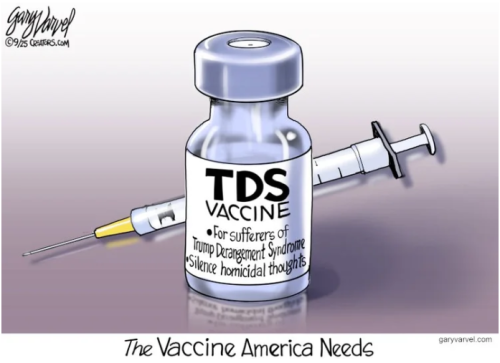 TDS vaccine