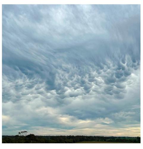 906ec98e-9af4-47e4-a71b-c6883957d001