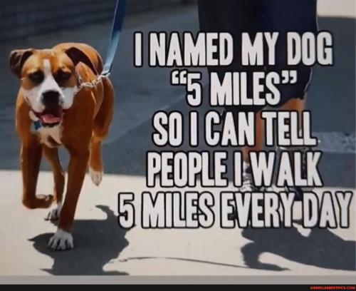 2f007abc382e4a9f436933a729aa7187b2287db8a983ac2af6e3fb6e9dc44a6a_1