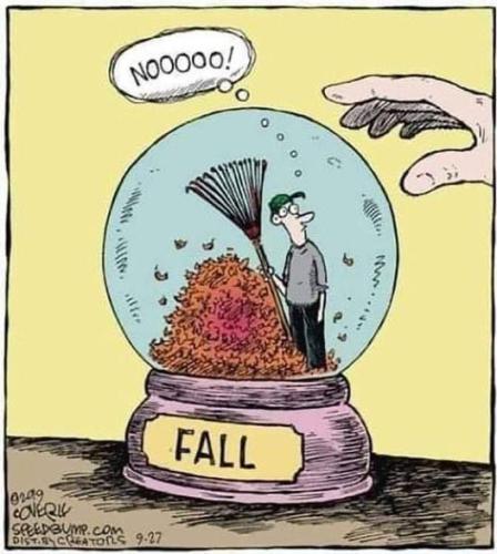 32300f353cd01ea093750d01b82d947e