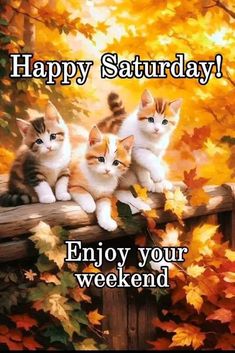 e1291f4051dc84af33e959bd0d7c2690