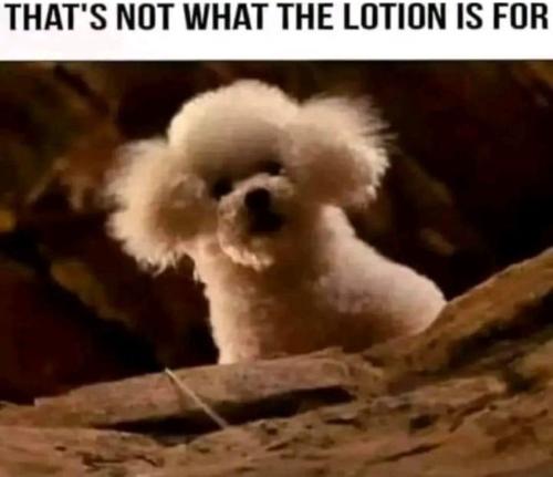 thats not what the lotion is for