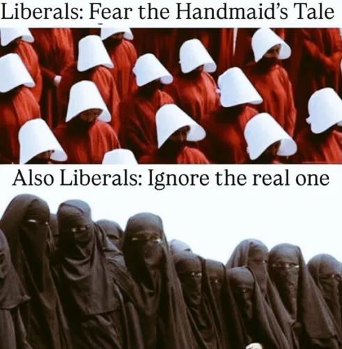 liberals-fear-handmaids
