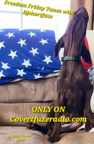 Screenshot_20251010_164320_Gallery