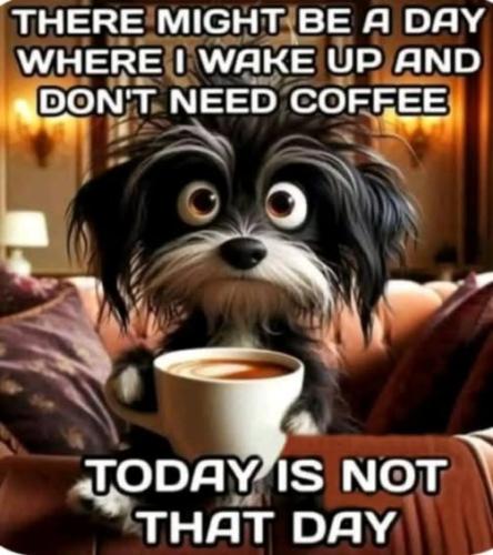 559733221_682806308196657_639763004750699635_n