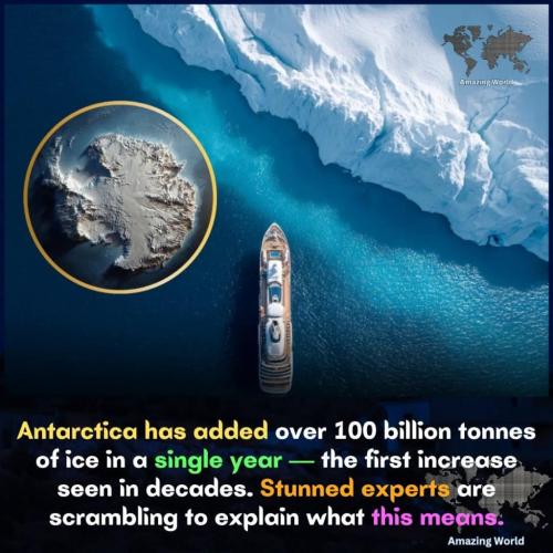 3a7e157e-370b-4f50-a5bc-29f503cb1b0c