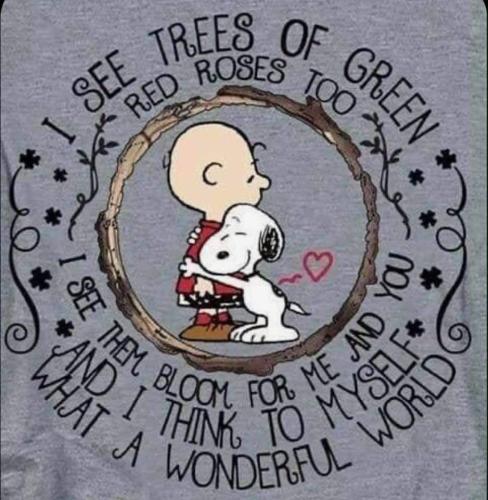 FB_IMG_1602535298439