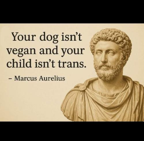 22:44:49 GMT-0400 (Eastern Daylight Time).image