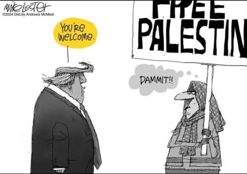 IMG_20251015_083153_340