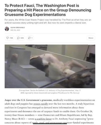 558766597_1246515050853647_3721204441956609765_n