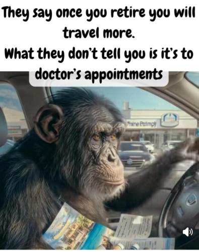 557930108_25700660729536161_37327593097237267_n