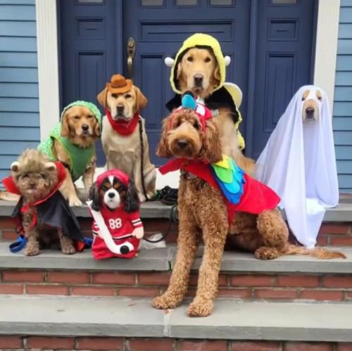 c55f8dcf-8d3c-4e3b-b69d-b52c63e9411a