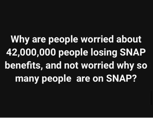 BIDENS MISERY INDEX SNAP