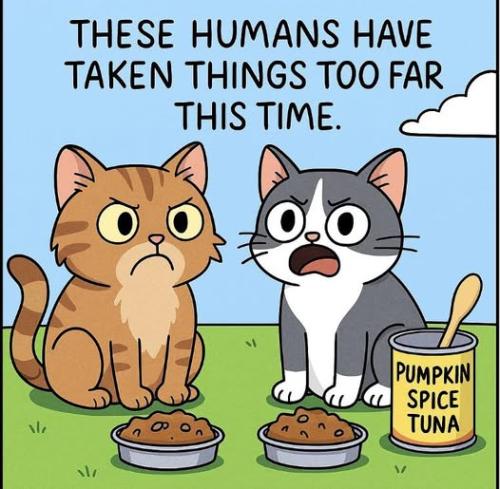 558763260_10172517992185587_4813685120942400474_n