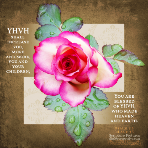 psa-115-14-KJV-pixabay