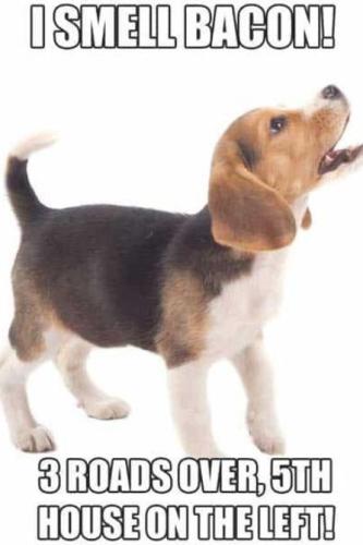 0c66525361e42fa5b2886d49c14363fc