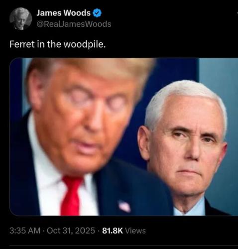 ferret-in-the-woodpile