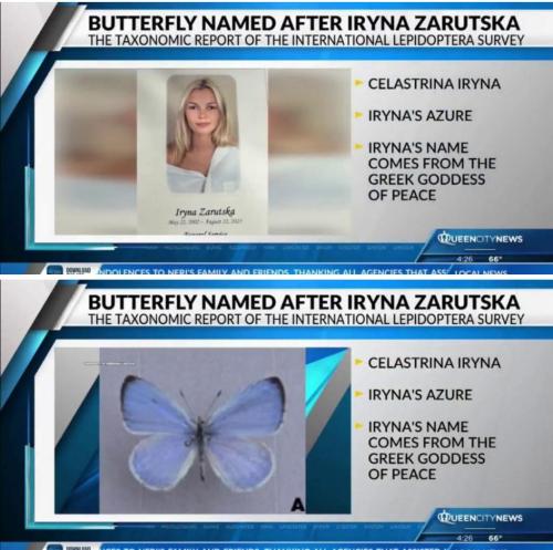 28c9a5c3-92f9-4085-b630-0172c8676b15