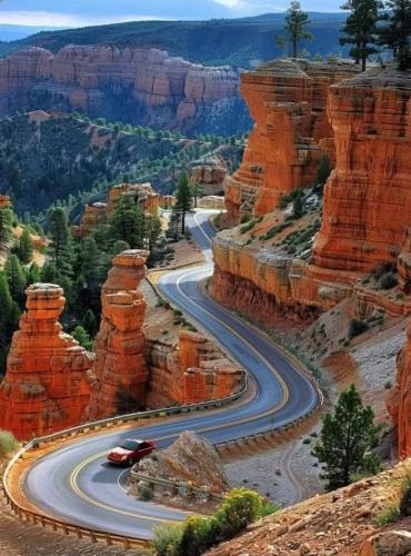 559901376_1358308845947901_7590701114943447074_n