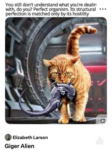 main-qimg-b65b7d3f3f6e01f0a49f1eabba74654e