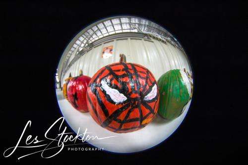 Jack54878628096_b48ba13300_o