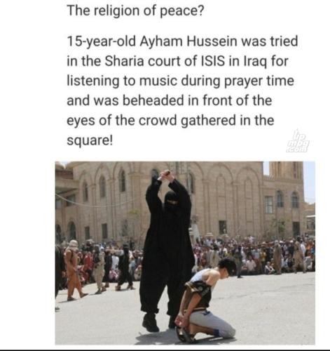 main-qimg-be251d021823b252f5b50605a1f751ff