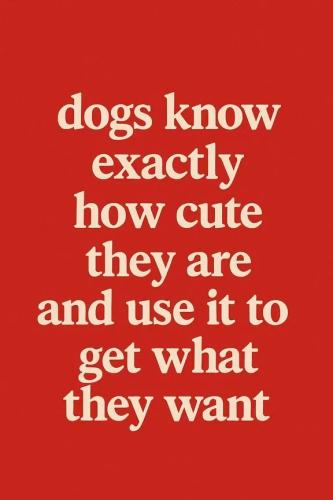 e76757156ff14ba89bd4244d1f1bf690