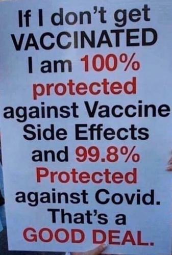 IMG_20251004_074054_949