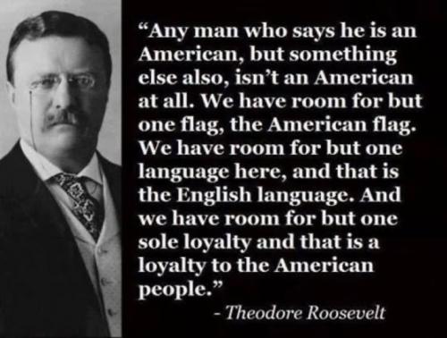 Teddy Roosevelt one allegiance
