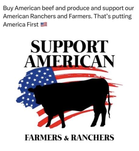 6ab305cd-0191-4f79-9855-ced70b0af0b0