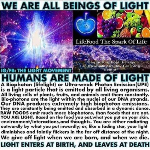 ,          ,  0424775766_746362