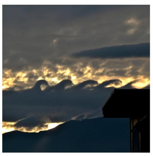 91511df8-effc-4348-be34-aeed304b555c