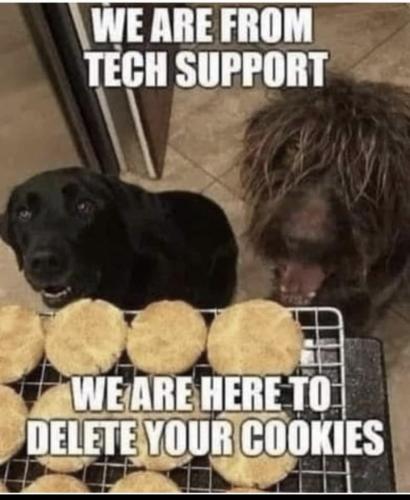 Screenshot_20251021_105420_Wimkin Free Speech Social Media