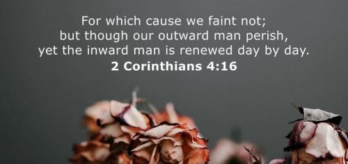 456d6dd6-d263-4f40-81ae-8d532bb8512c