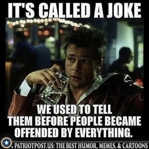 01K8VYDZNQAWFHYXSJ6M8NB311