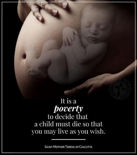 481832364_1179599630213089_8747124097414487058_n