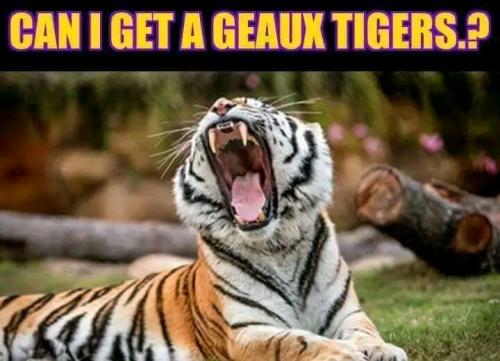 09:39:38 GMT-0500 (CDT)