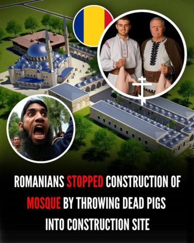 IMG_20251019_154909_202