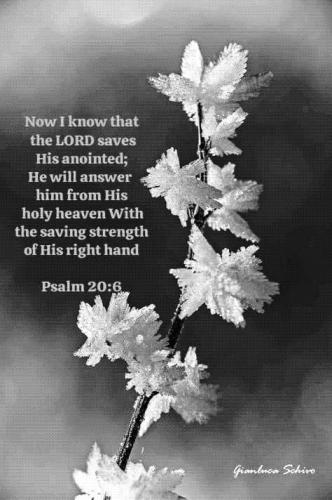 548283329_699650419800251_3336541831207616068_n