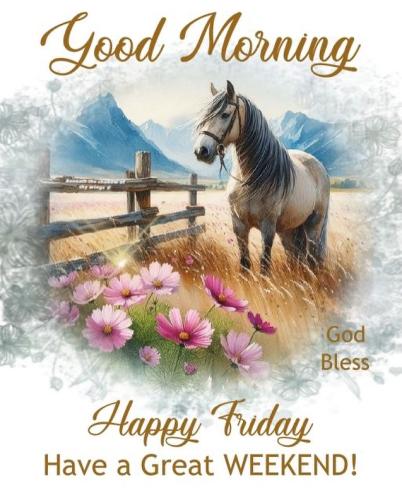 558362111_18026982728743683_3644469200313027617_n